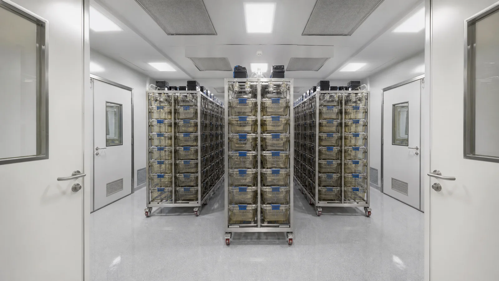 同类工程场景示意：SPF啮齿类动物屏障设施与IVC独立通风笼具